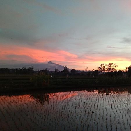 Cebongan 鲁玛优齐旅馆酒店 外观 照片